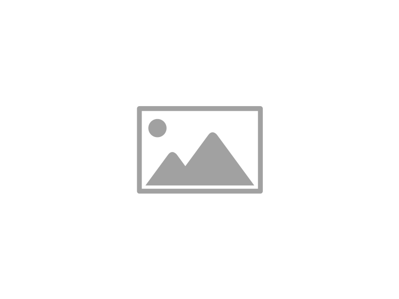 10. Split Squat (Front View)